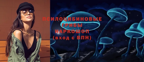 СК Алексеевка