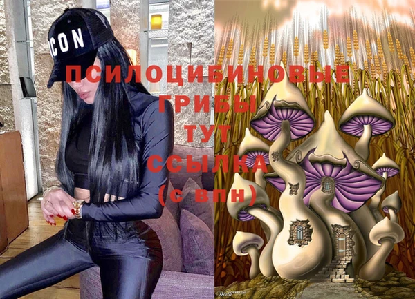 СК Алексеевка