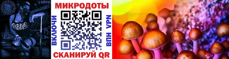 Галлюциногенные грибы MAGIC MUSHROOMS  как найти закладки  Кулебаки 