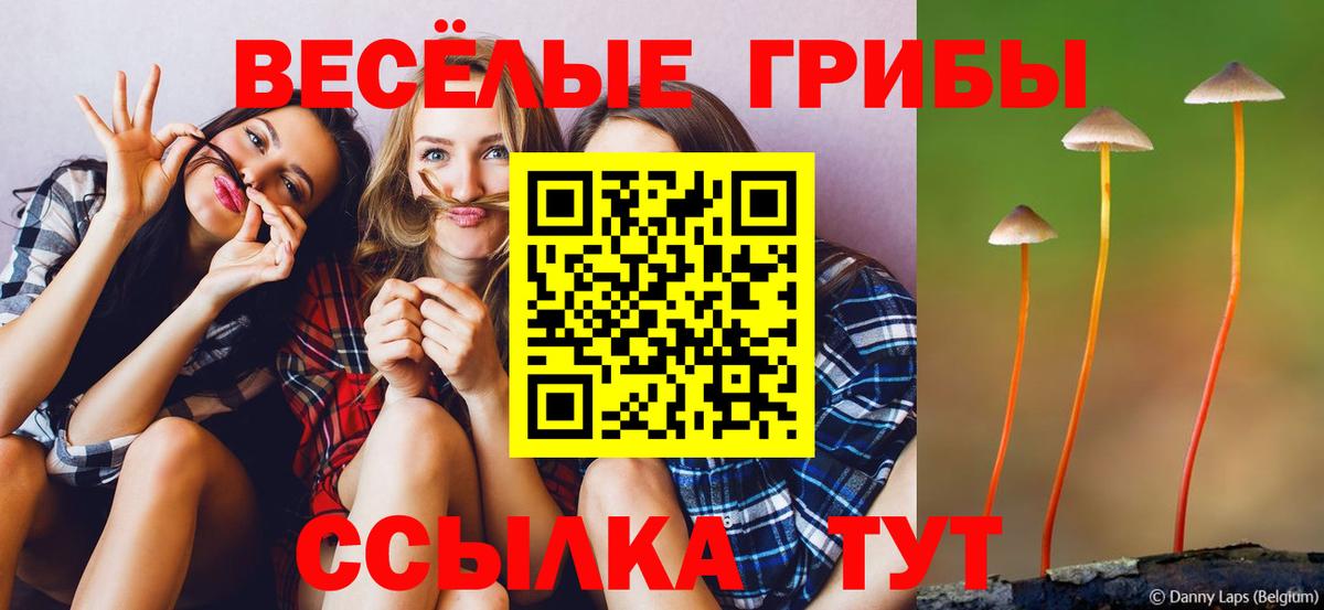 хочу   Галлюциногенные грибы Cubensis  Галлюциногенные грибы мухоморы  Вход с VPN  Кулебаки 