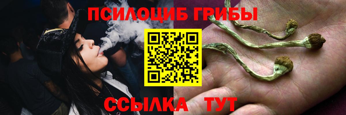 Галлюциногенные грибы Psilocybe Кулебаки